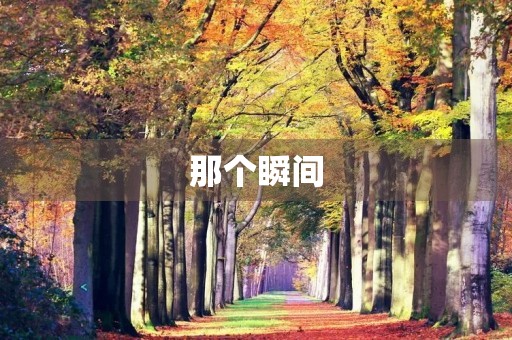 那个瞬间,我被深深感动了 那个瞬间,我被深深感动了