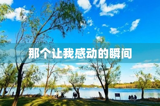 那个让我感动的瞬间 那个让我感动的瞬间