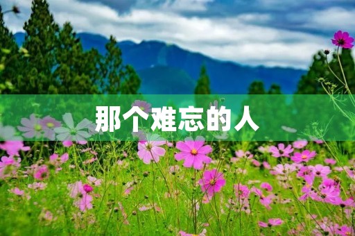 那个难忘的人 那个难忘的人