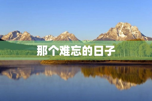 那个难忘的日子