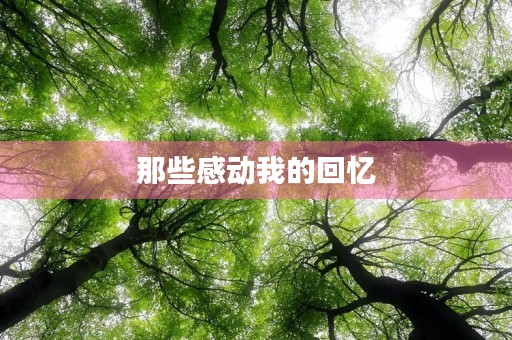 那些感动我的回忆
