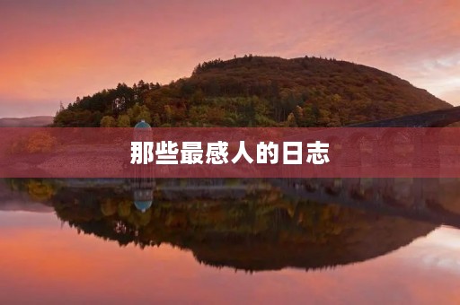 那些最感人的日志
