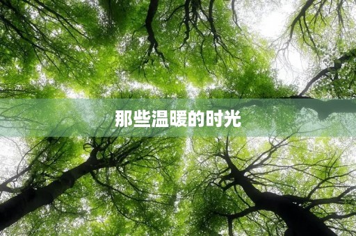 那些温暖的时光