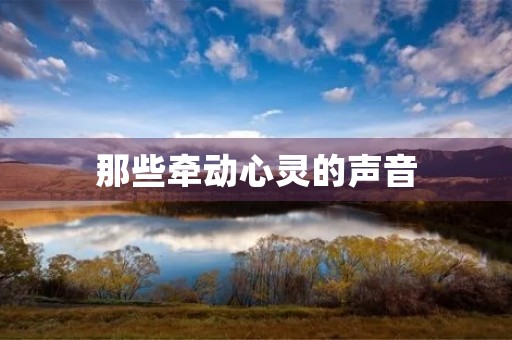 那些牵动心灵的声音 那些牵动心灵的声音