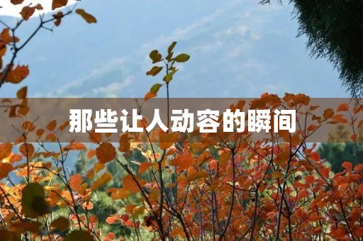 那些让人动容的瞬间 那些让人动容的瞬间