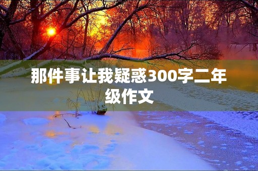 那件事让我疑惑300字二年级作文