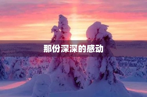 那份深深的感动
