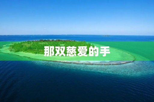 那双慈爱的手