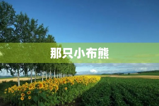 那只小布熊