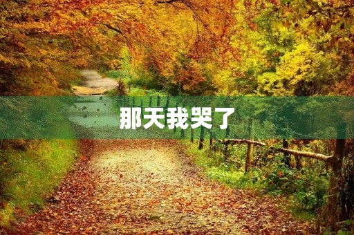 那天我哭了,因为... 那天我哭了,因为...