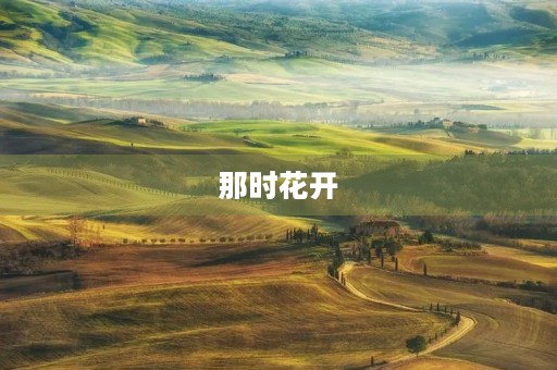 那时花开，人间烟火