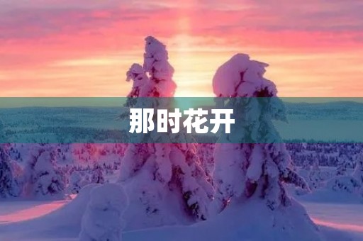 那时花开，我在青春中绽放