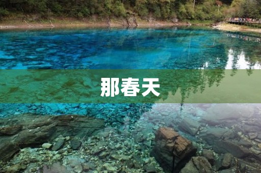 那春天，那美丽
