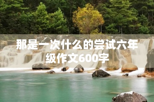 那是一次什么的尝试六年级作文600字 那是一次什么的尝试六年级作文600字