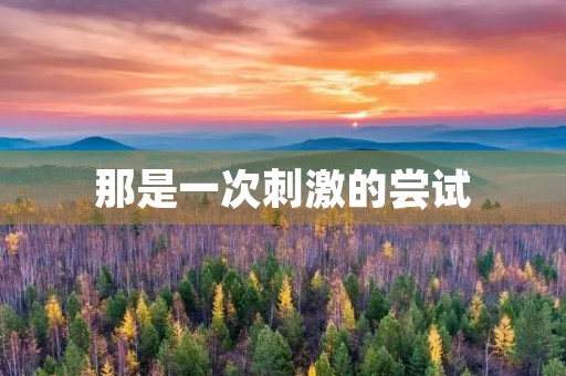 那是一次**的尝试 那是一次**的尝试