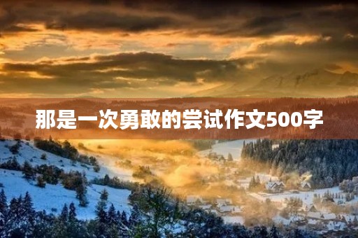 那是一次勇敢的尝试作文500字 那是一次勇敢的尝试作文500字