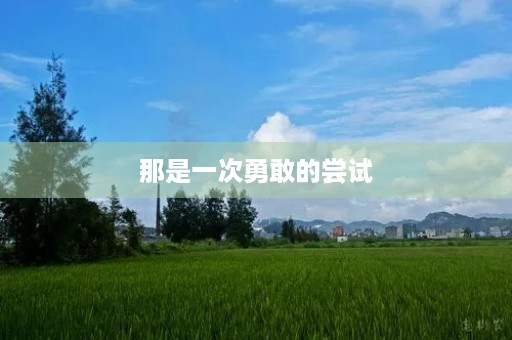那是一次勇敢的尝试 那是一次勇敢的尝试