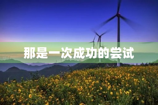 那是一次成功的尝试 那是一次成功的尝试