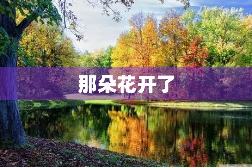 那朵花开了 那朵花开了