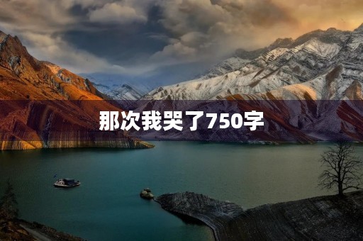 那次我哭了750字