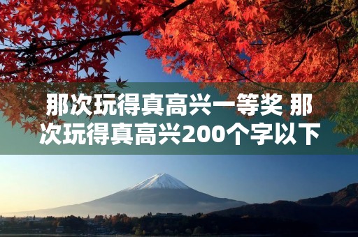 那次玩得真高兴一等奖 那次玩得真高兴200个字以下