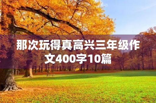 那次玩得真高兴三年级作文400字10篇