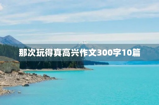 那次玩得真高兴作文300字10篇
