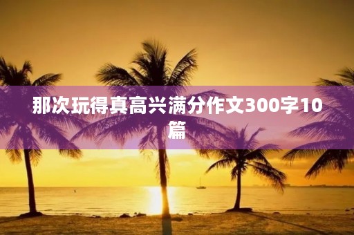 那次玩得真高兴满分作文300字10篇