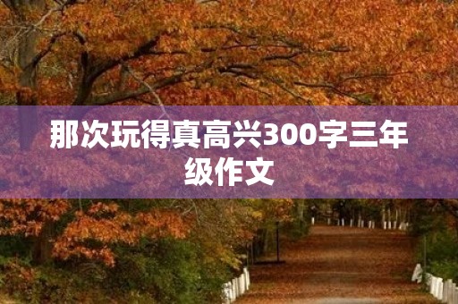 那次玩得真高兴300字三年级作文 那次玩得真高兴300字三年级作文