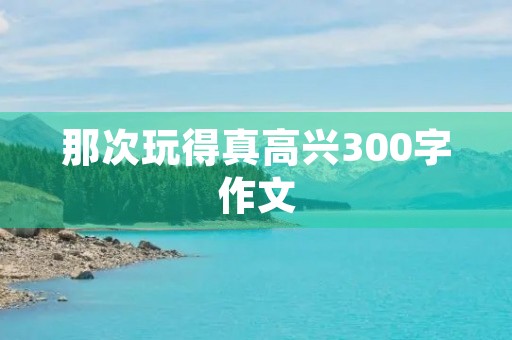 那次玩得真高兴300字作文