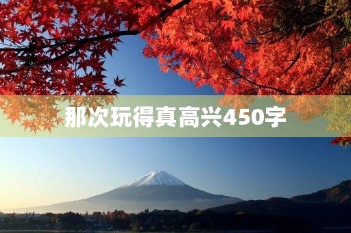 那次玩得真高兴450字