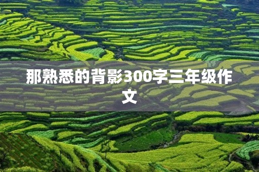 那熟悉的背影300字三年级作文