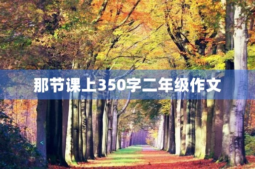 那节课上350字二年级作文