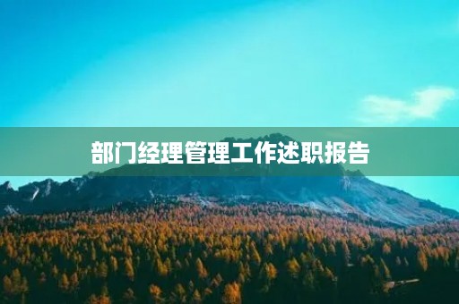 部门经理管理工作述职报告