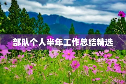 部队个人半年工作总结精选