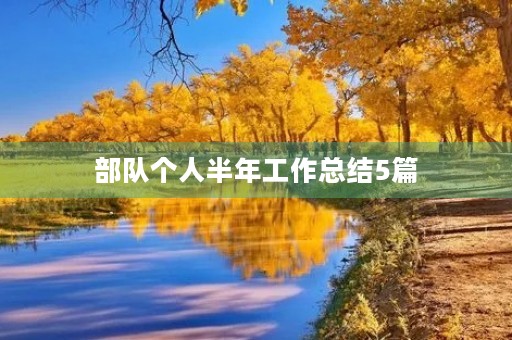 部队个人半年工作总结5篇 部队个人半年工作总结5篇