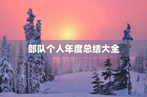 部队个人年度总结大全 部队个人年度总结大全