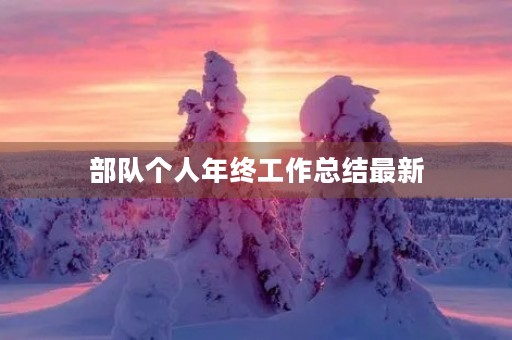 部队个人年终工作总结最新