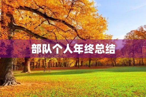 部队个人年终总结