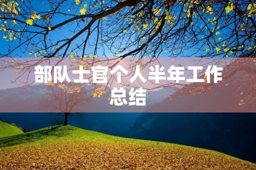 部队士官个人半年工作总结