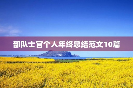 部队士官个人年终总结范文10篇