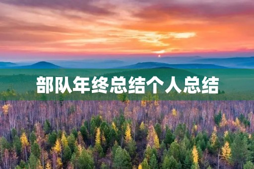 部队年终总结个人总结