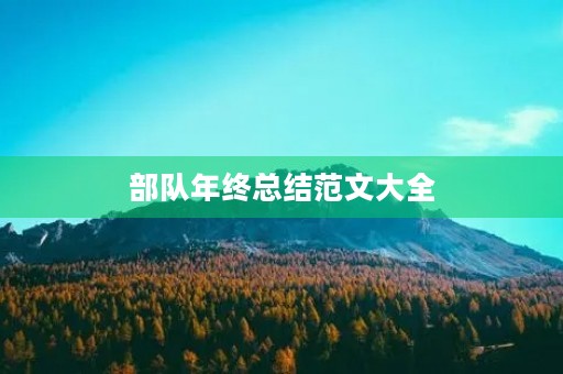 部队年终总结范文大全