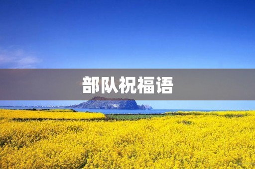 部队祝福语(对部队未来发展的寄语)
