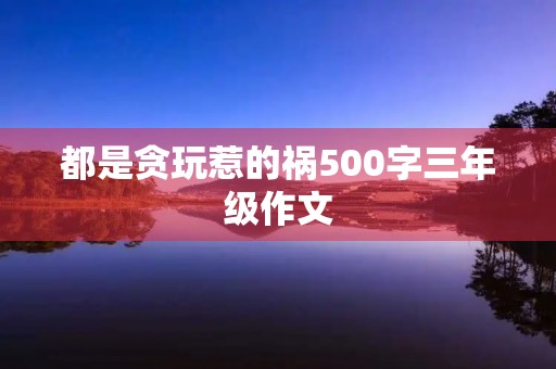 都是贪玩惹的祸500字三年级作文