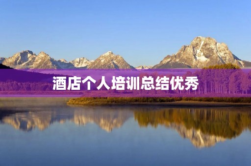 酒店个人培训总结优秀