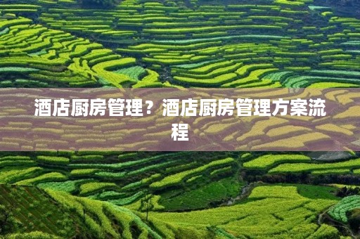 酒店厨房管理?酒店厨房管理方案流程 酒店厨房管理?酒店厨房管理方案流程