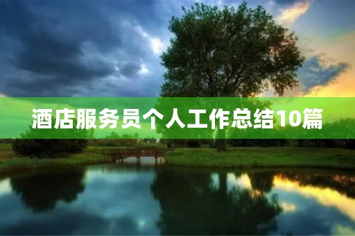 酒店服务员个人工作总结10篇