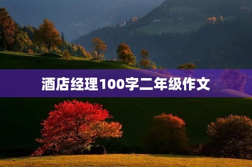 酒店经理100字二年级作文 酒店经理100字二年级作文