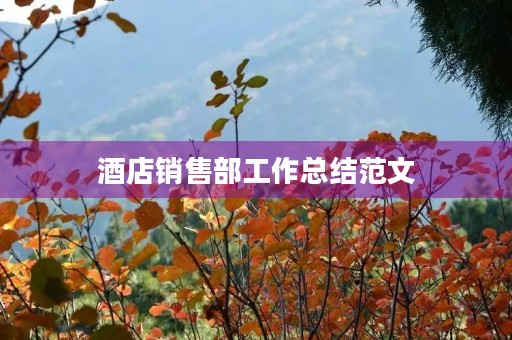 酒店销售部工作总结范文